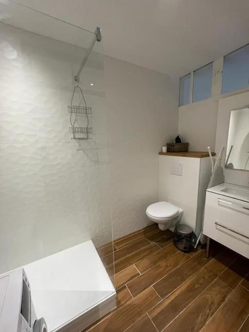 Appartement Cosy A Deux Pas De La Gare Laval  Kültér fotó